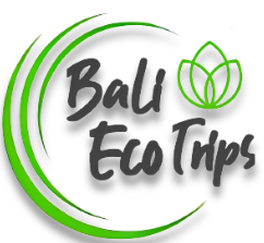 jasa tour and travel